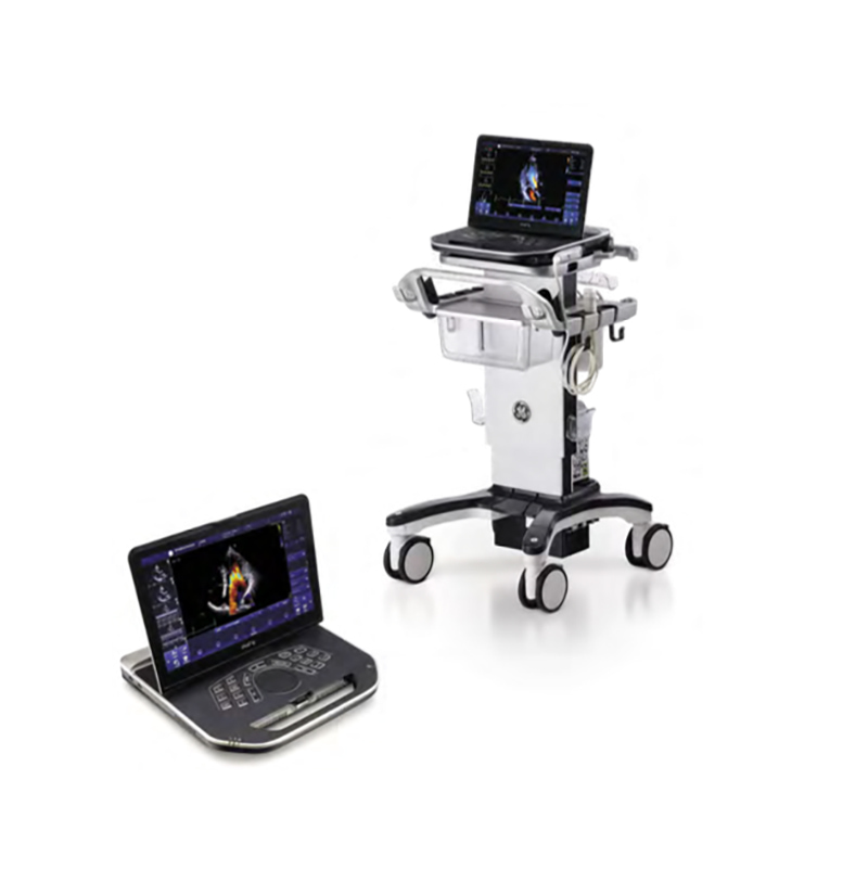 Ультразвуковой универсальный кардиоваскулярный сканер Vivid iq  General Electric (GE Healthcare)-1