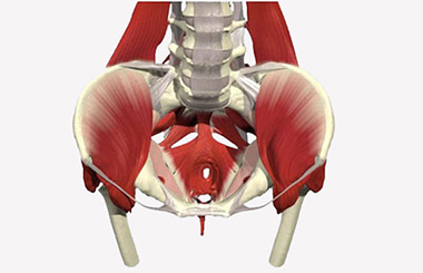 Методичка Urostym: система реабилитации мышц тазового дна