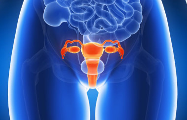 Современная хирургия пролапса гениталий и недержания мочи у женщин