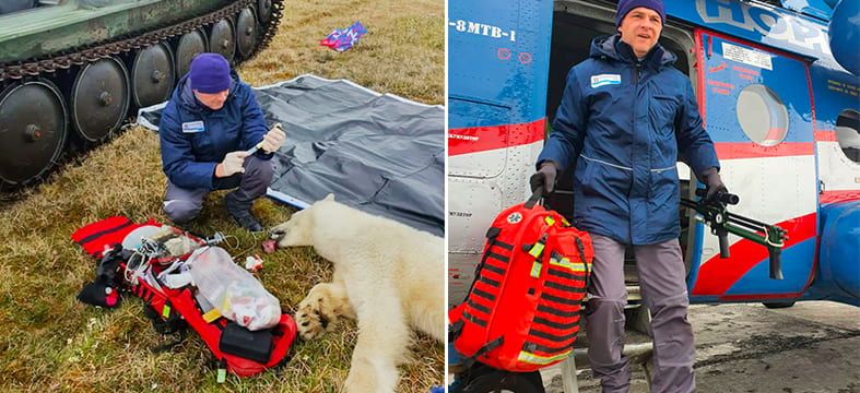 Сумки Elite Bags на страже белых мишек!