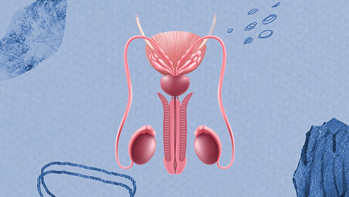 Клинические исследования эффективности Rezūm: о чем говорят факты
