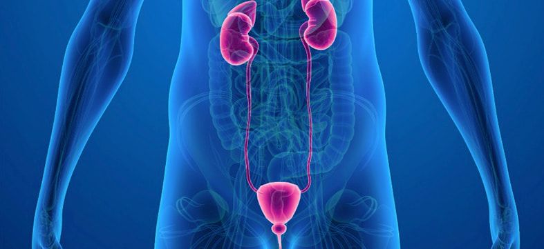 Отзывы о применении прибора UROSCREEN