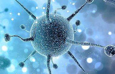Актуальные вопросы инфекционной патологии и вакцинопрофилактики
