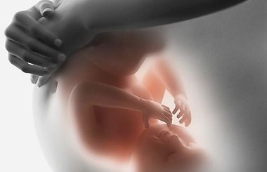 XVI Международный конгресс по репродуктивной медицине