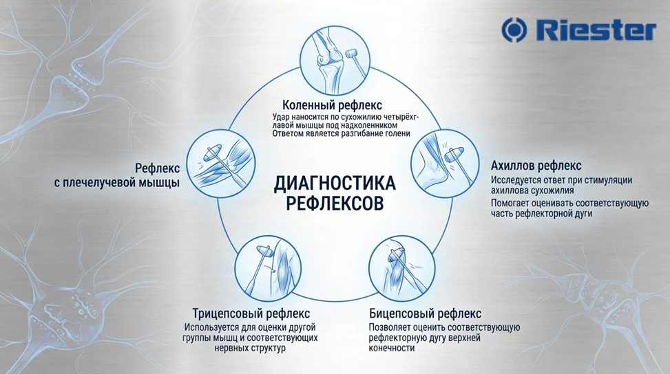 Почему вес и баланс молоточка имеют значение3.png
